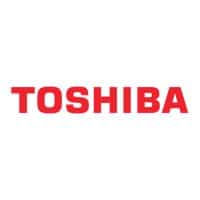 Toshiba Flow Meters