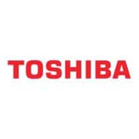 Toshiba offers electromagnetic flowmeters, microwave density analyzers, programmable logic controllers, hybrid integrated control platforms, and DCS & PLC integrated systems. Toshiba Flow Meters