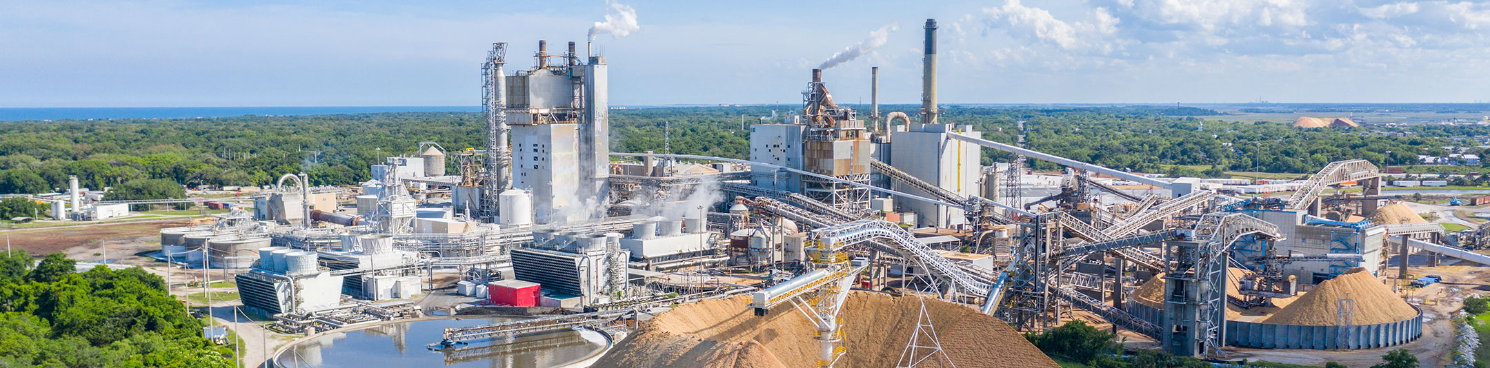 Pulp & Paper industry facility